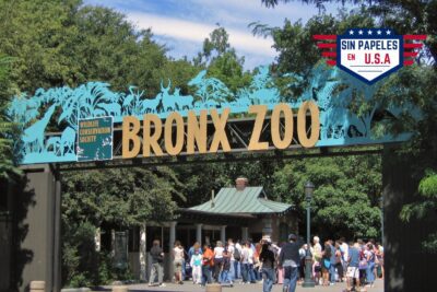 entrada el bronx