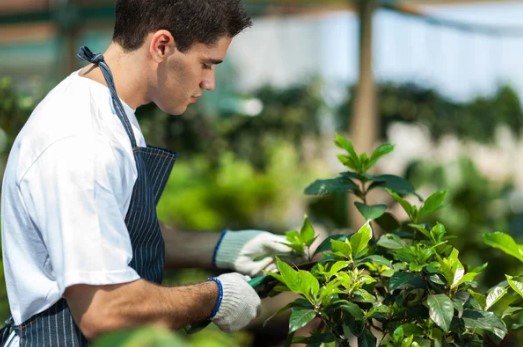 jardinero en fort myers