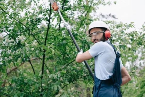 trabajo en oregon estados unidos, trabajos disponibles en oregon, , trabajo de campo en oregon