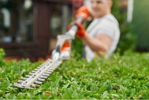 jardinero en pembroke pines