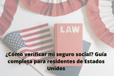 verificar seguro social 1