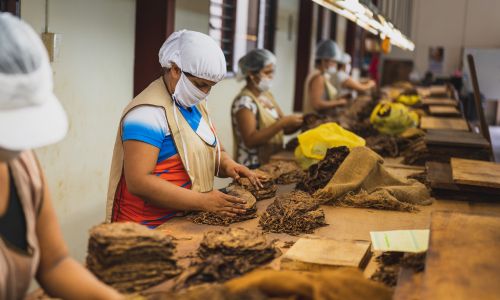 trabajo en fabricas kansas