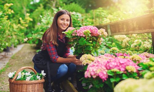 jardineria vivero en homestead